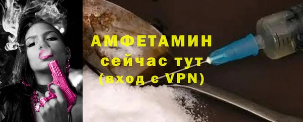 ECSTASY Богданович