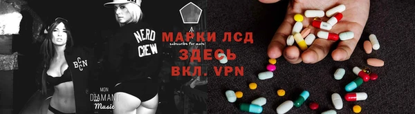 ECSTASY Богданович