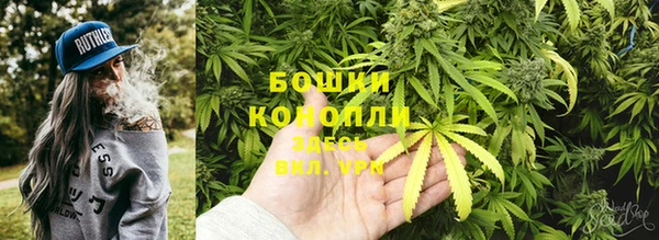 ECSTASY Богданович