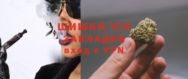 ECSTASY Богданович