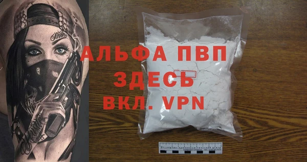 ECSTASY Богданович