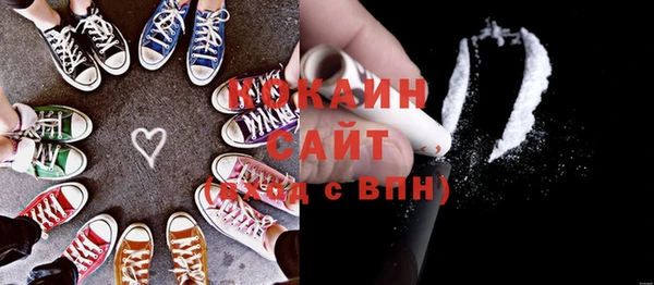 ECSTASY Богданович