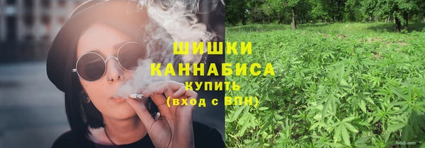 mix Богородицк