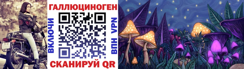 где купить наркоту  Невельск  Псилоцибиновые грибы мицелий 